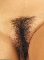 Hairy Mature Pussy
